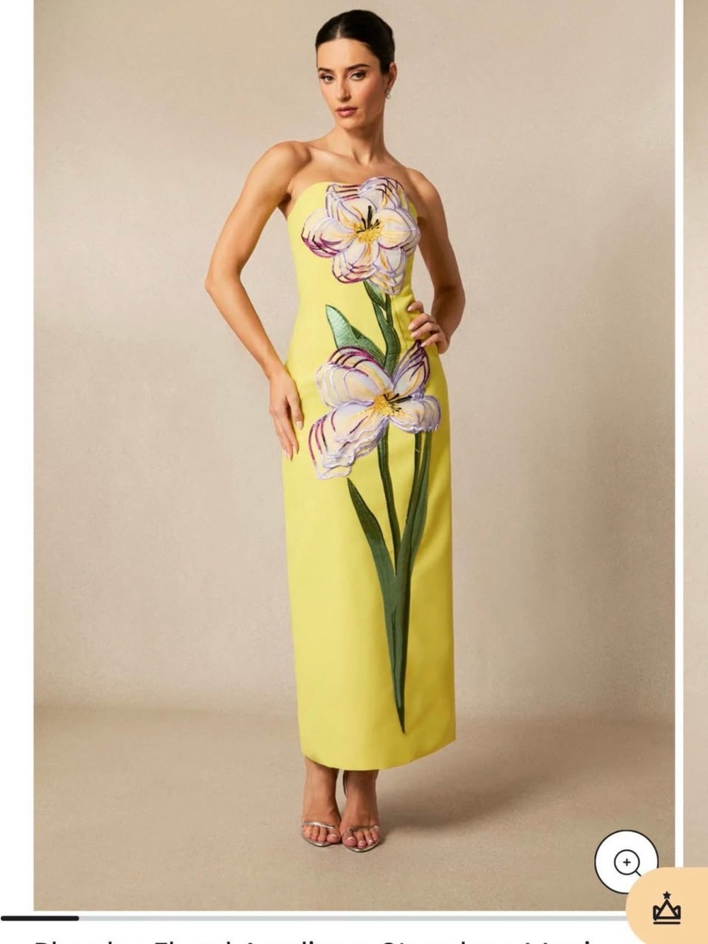 Phoebe Floral Applique Strapless Maxi Dress